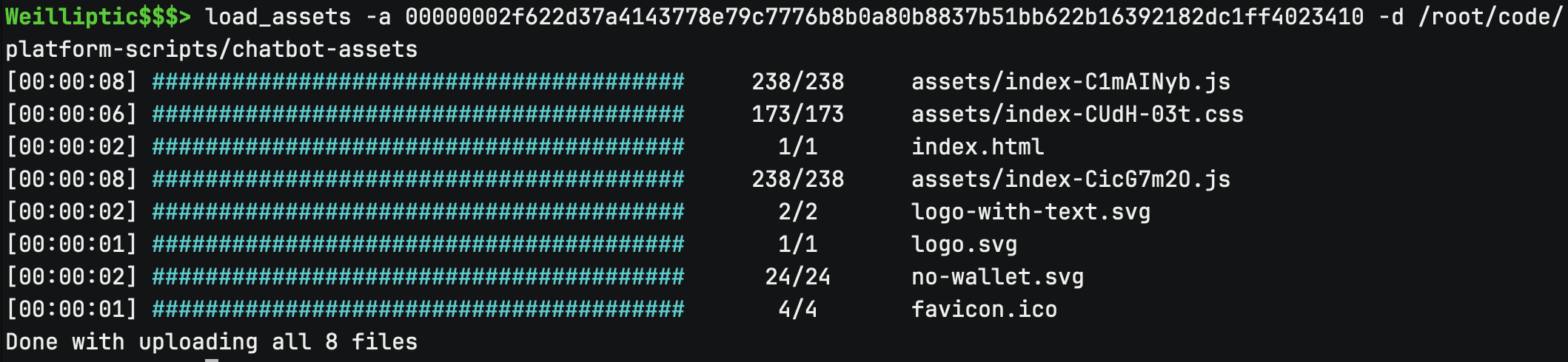 CLI load_assets Screenshot